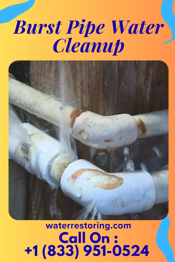 Burst Pipe Water Cleanup in Petersburg, MI
