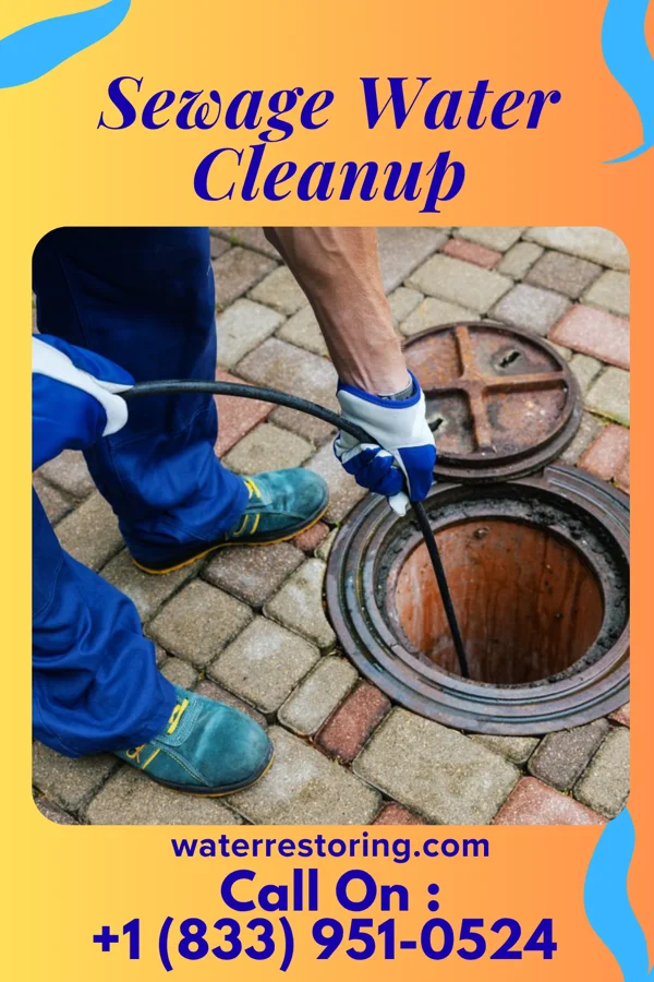 Sewage Water Cleanup in Petersburg, MI